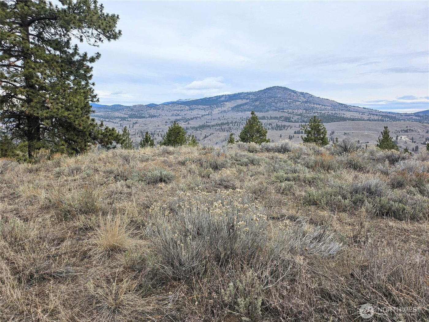 1 TBD Badger Road , Tonasket, WA 98855