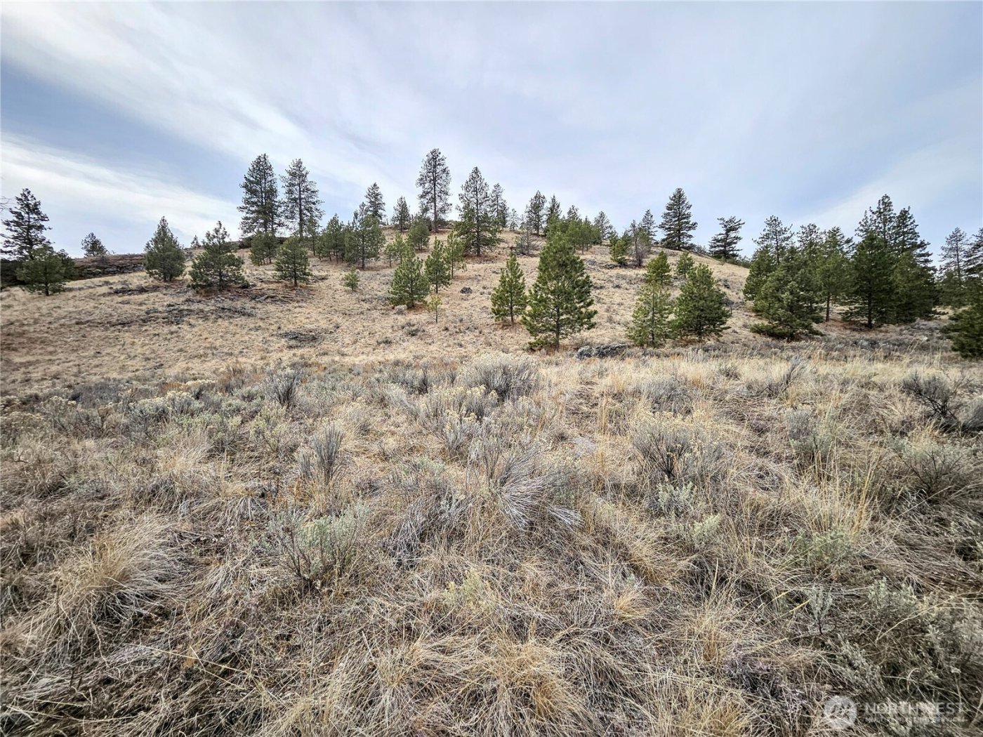 1 TBD Badger Road , Tonasket, WA 98855