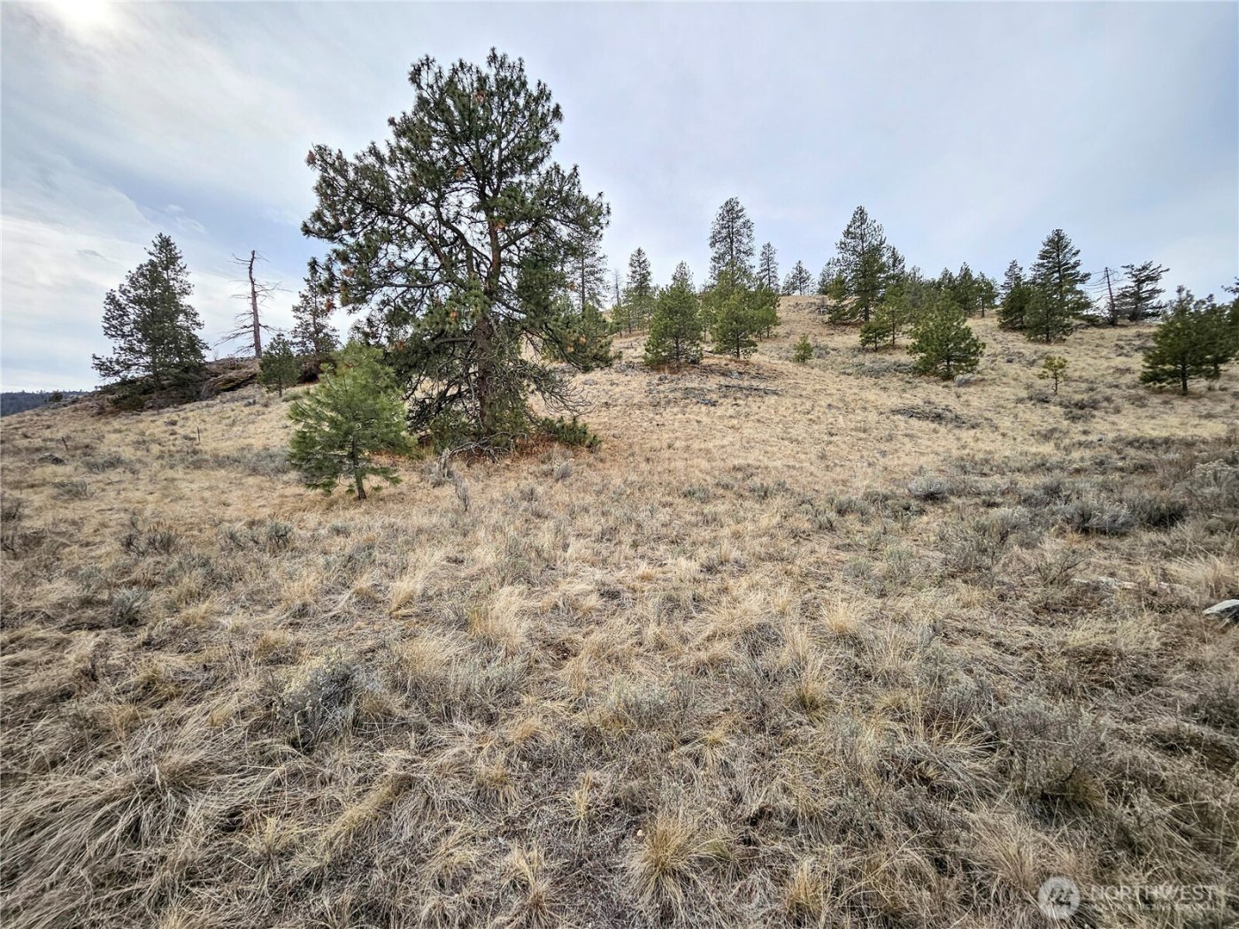 1 TBD Badger Road , Tonasket, WA 98855
