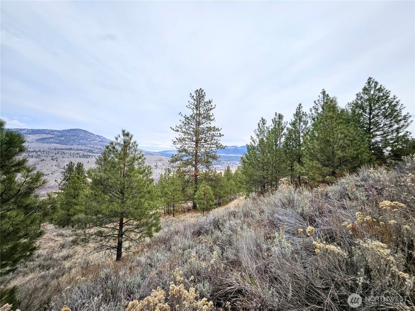 1 TBD Badger Road , Tonasket, WA 98855