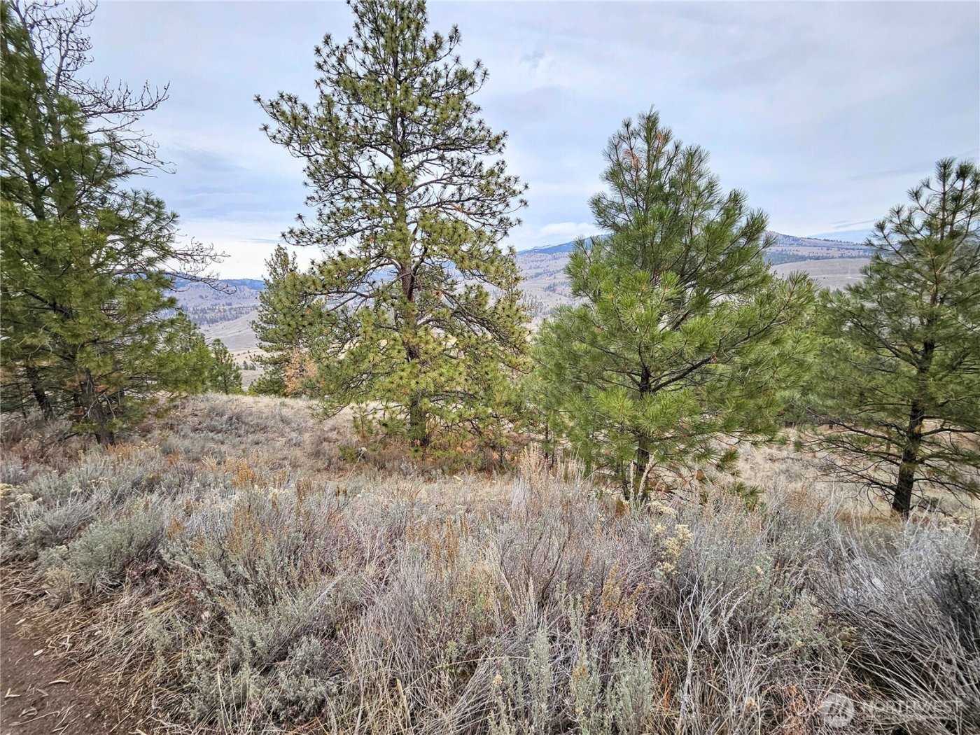 1 TBD Badger Road , Tonasket, WA 98855