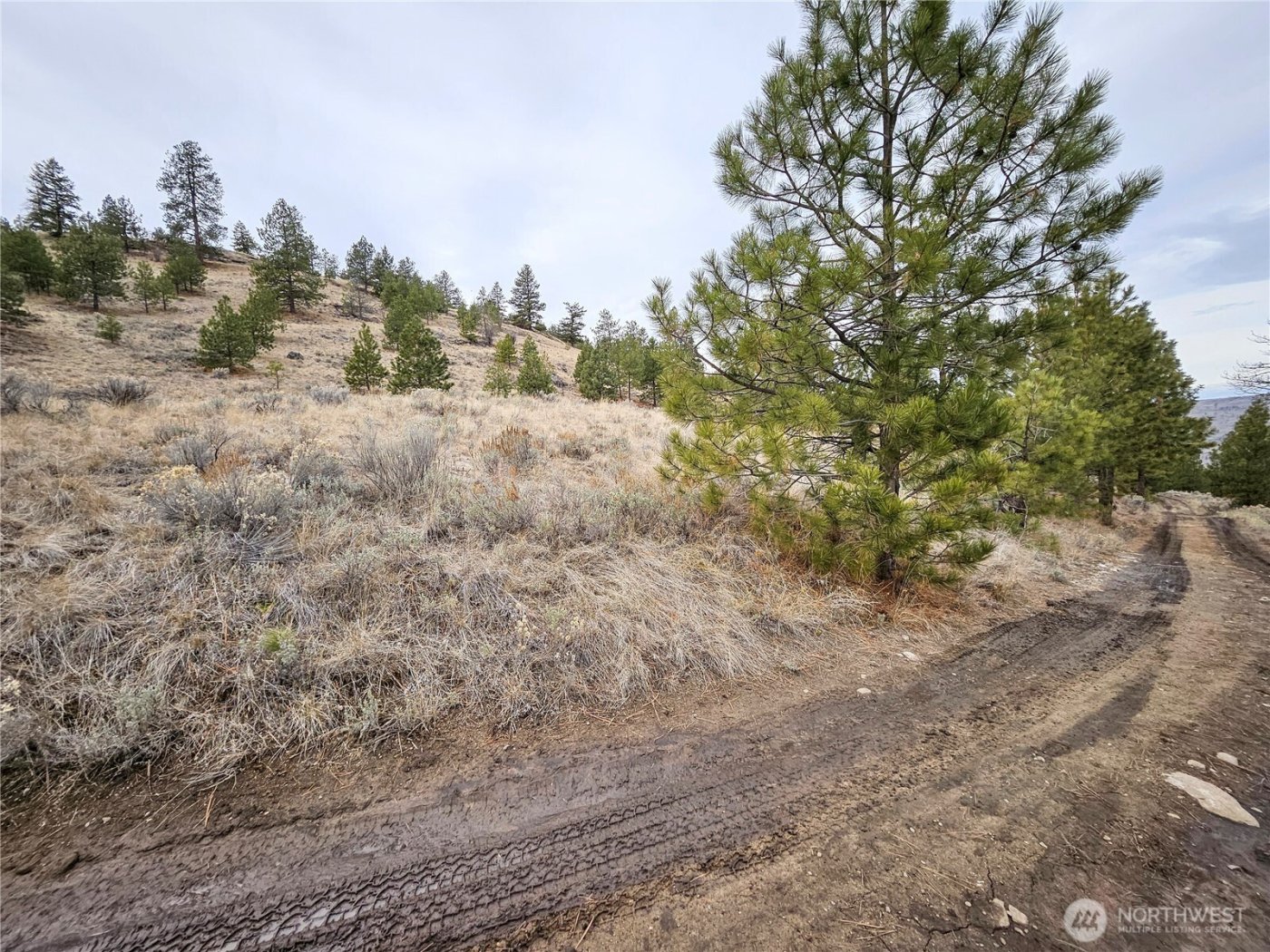 1 TBD Badger Road , Tonasket, WA 98855