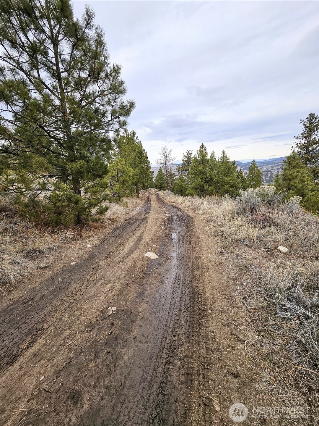 1 TBD Badger Road , Tonasket, WA 98855