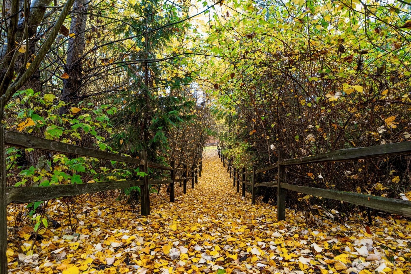 19717 27th Place W #B, Lynnwood, WA 98036-7885