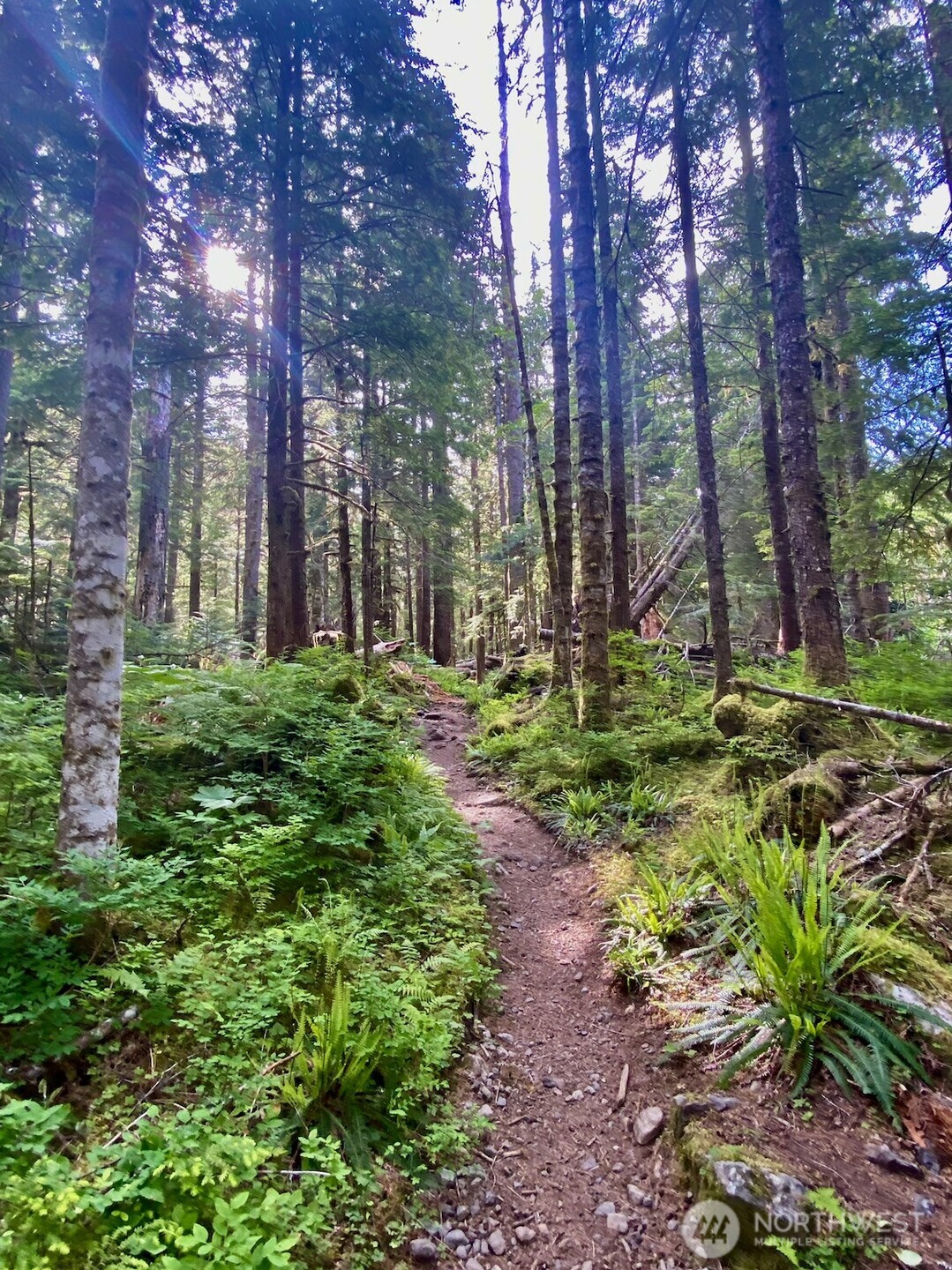 0 XX Mountain Loop Highway , Granite Falls, WA 98252