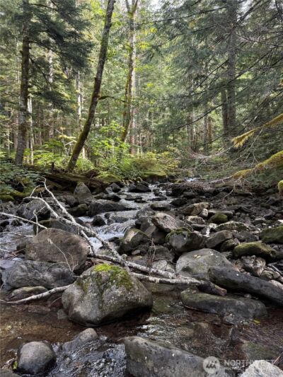 0 XX Mountain Loop Highway , Granite Falls, WA 98252 - Photo 6