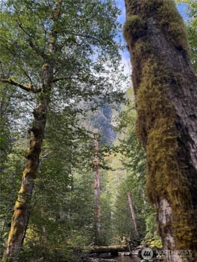0 XX Mountain Loop Highway , Granite Falls, WA 98252 - Photo 8