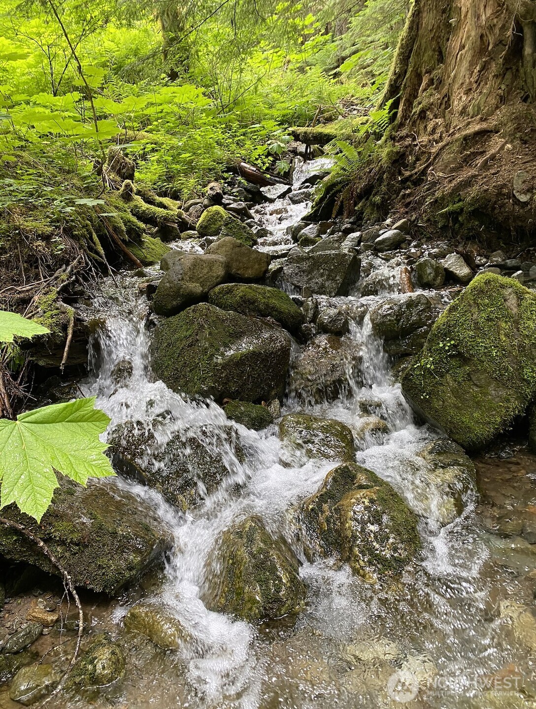 0 XX Mountain Loop Highway , Granite Falls, WA 98252