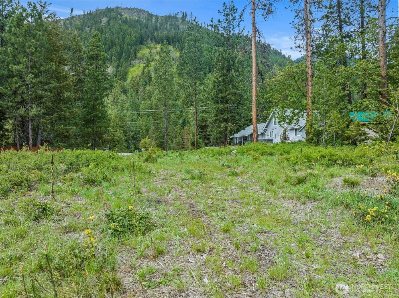 81 Norling Lane , Leavenworth, WA 98826