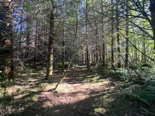 3190 E Hoquiam Rd