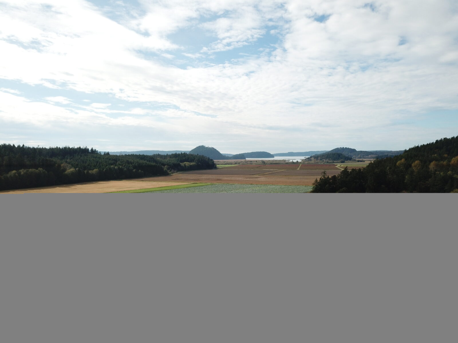 Dodge Valley Rd