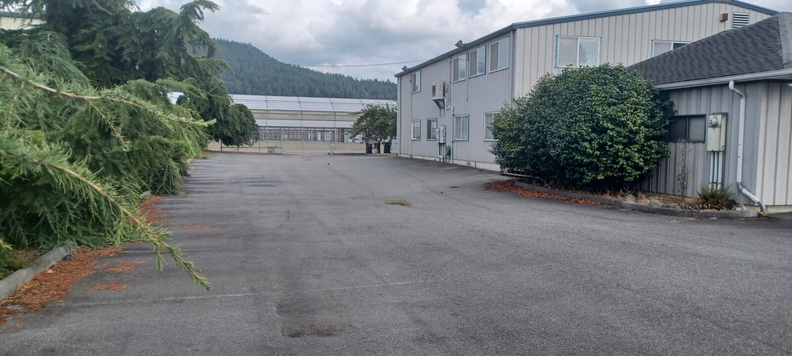 3100 Old Highway 99 South Rd