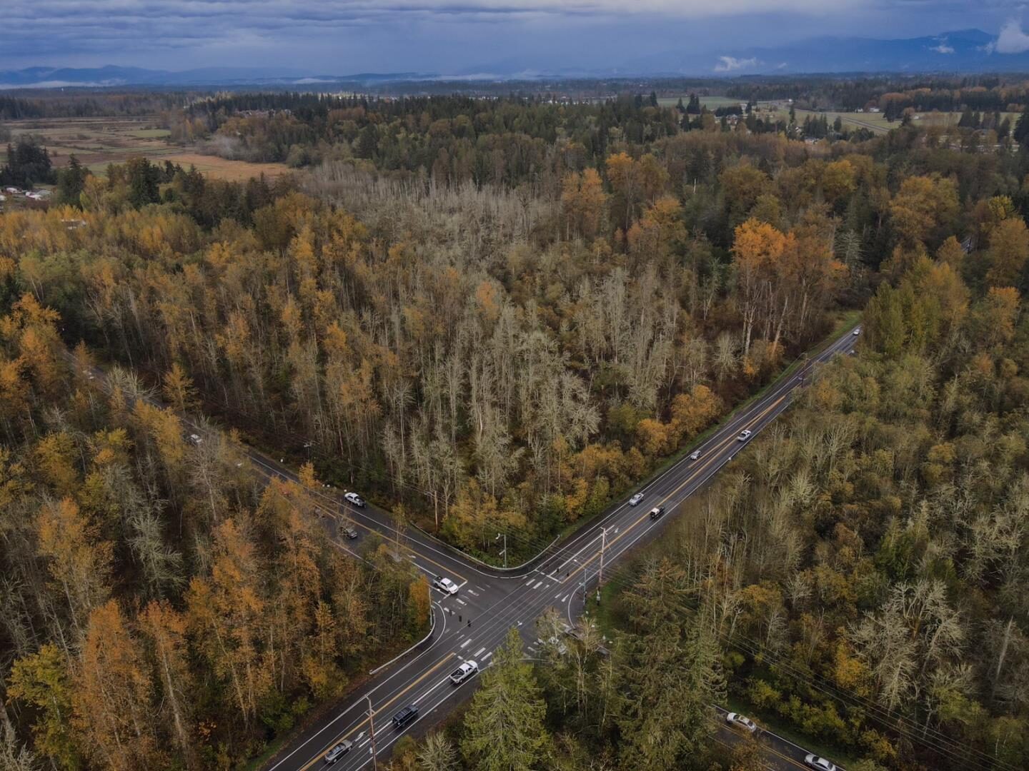 Sumner Buckley Hwy E