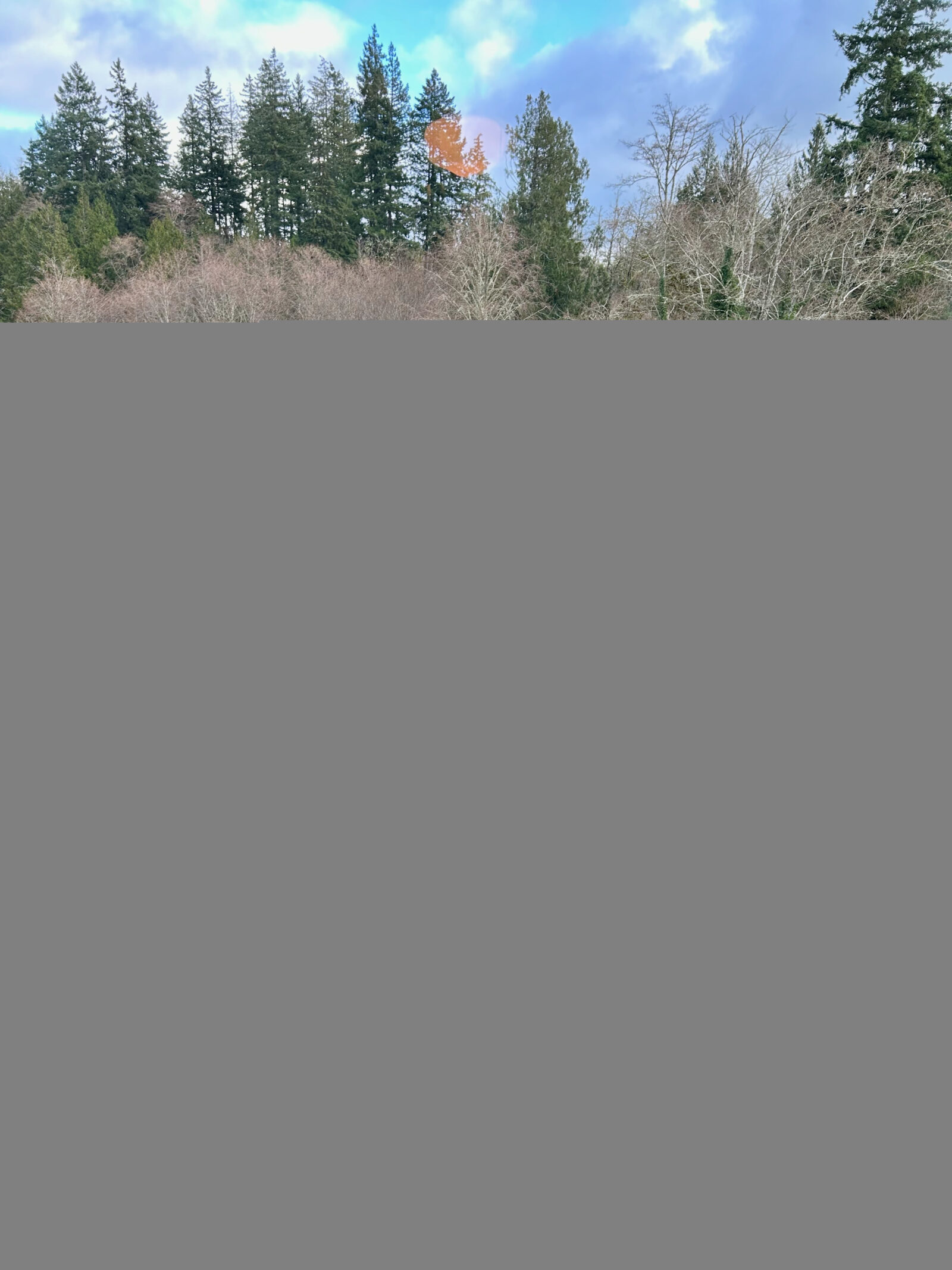14619 Purdy Dr NW A & B