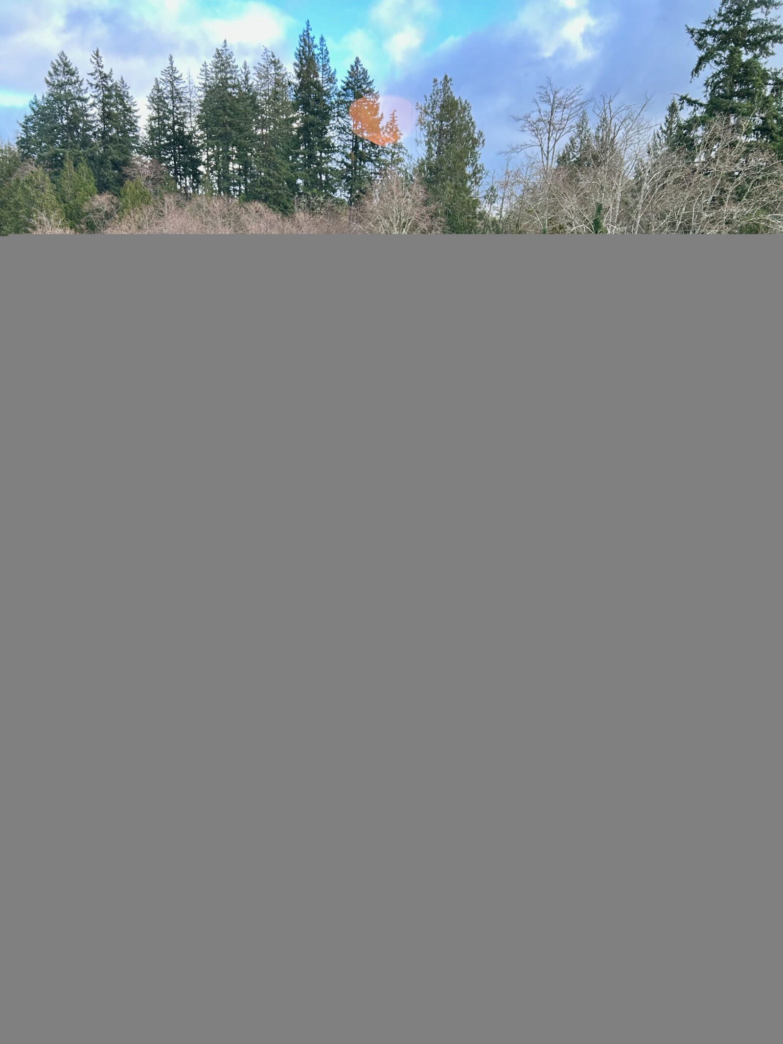 14619 Purdy Dr NW A & B