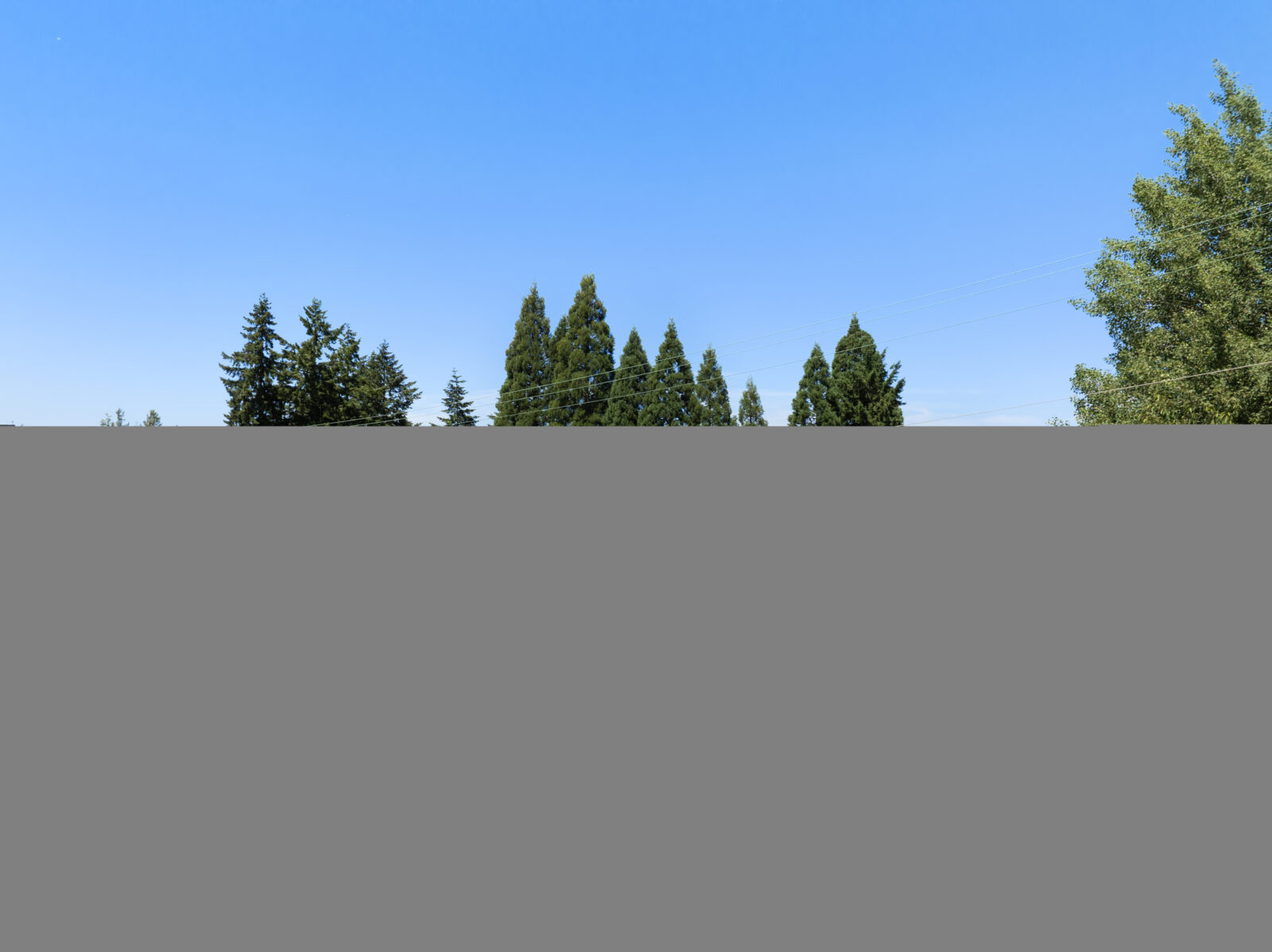 4180 Kitsap Way