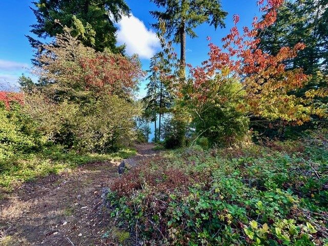 4908 Kitsap Way