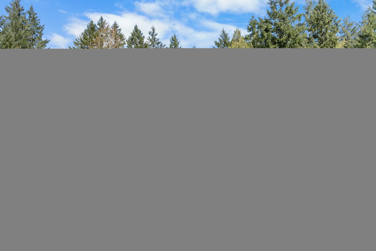 9707 Key Peninsula Hwy NW