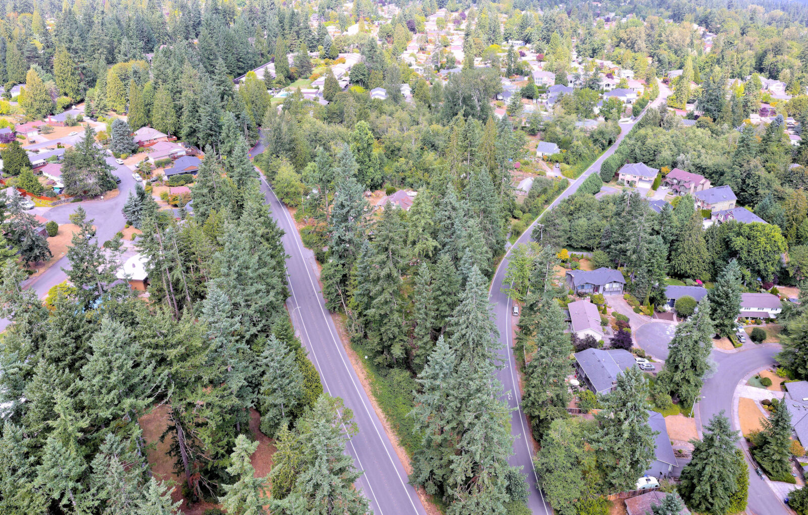 1325 173rd Ave NE