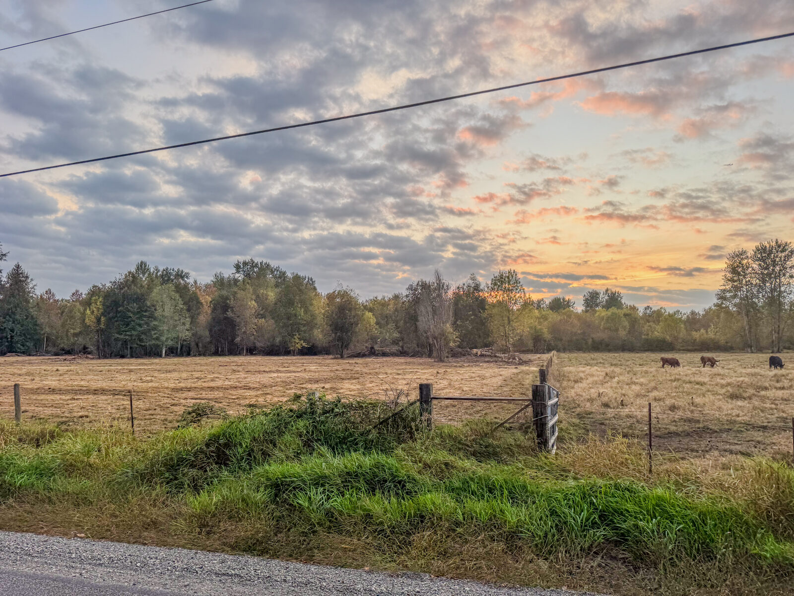 Mundy Loss Rd E