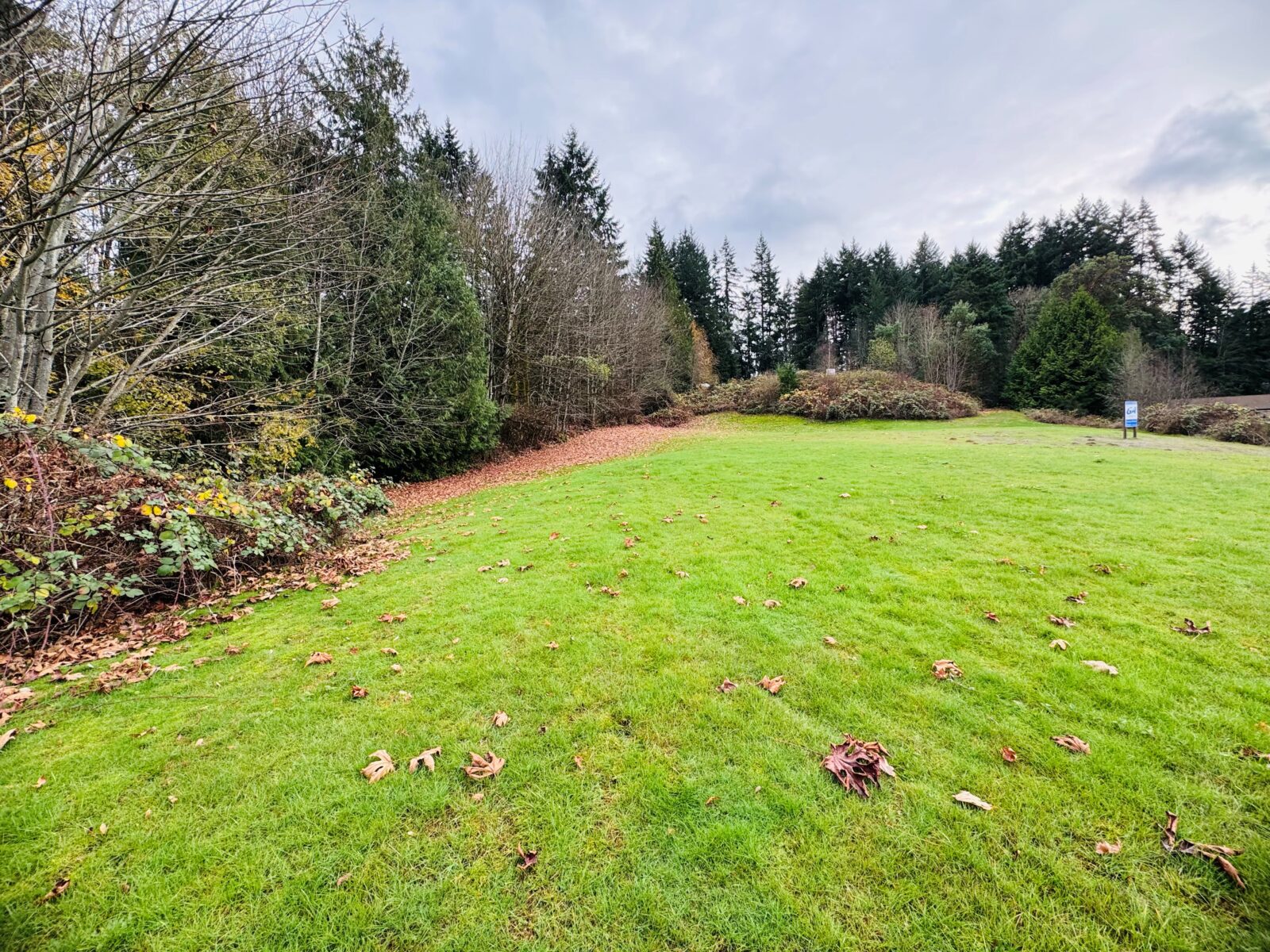 SE Mile Hill Dr