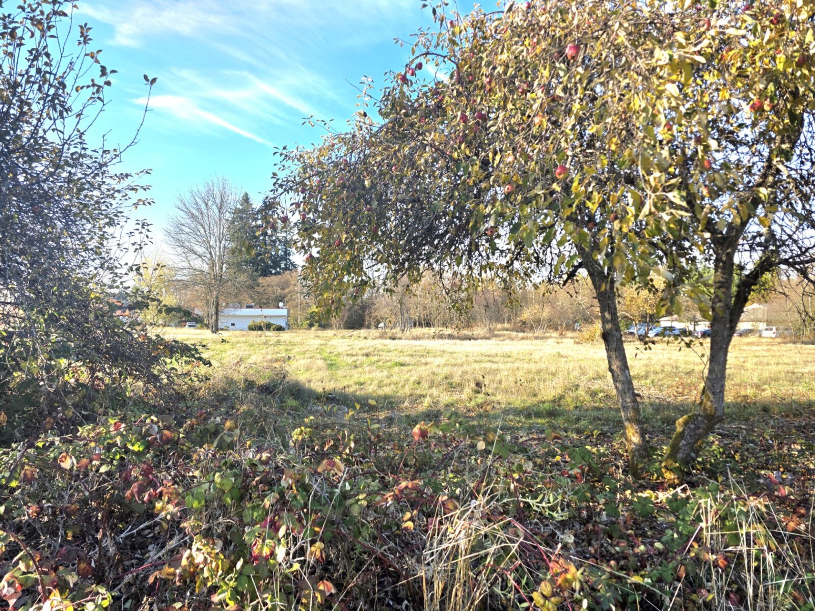 W Yelm Ave