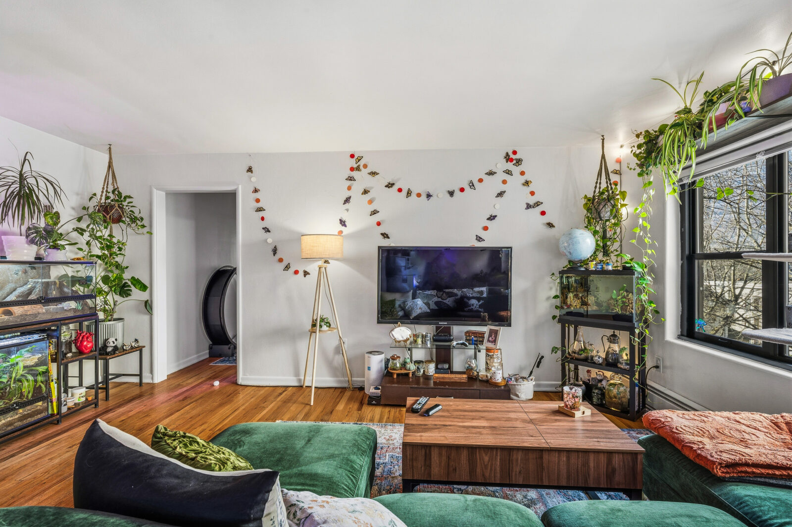 804 James St