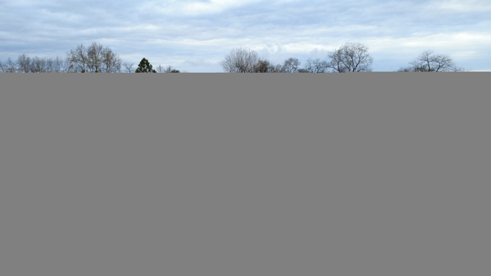 1215 Thayer Dr