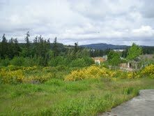 Pottery Ave