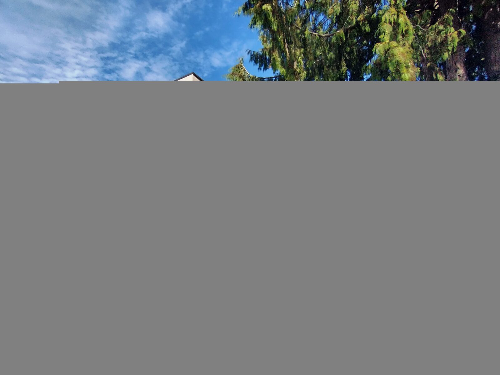 1503 Riverside Dr