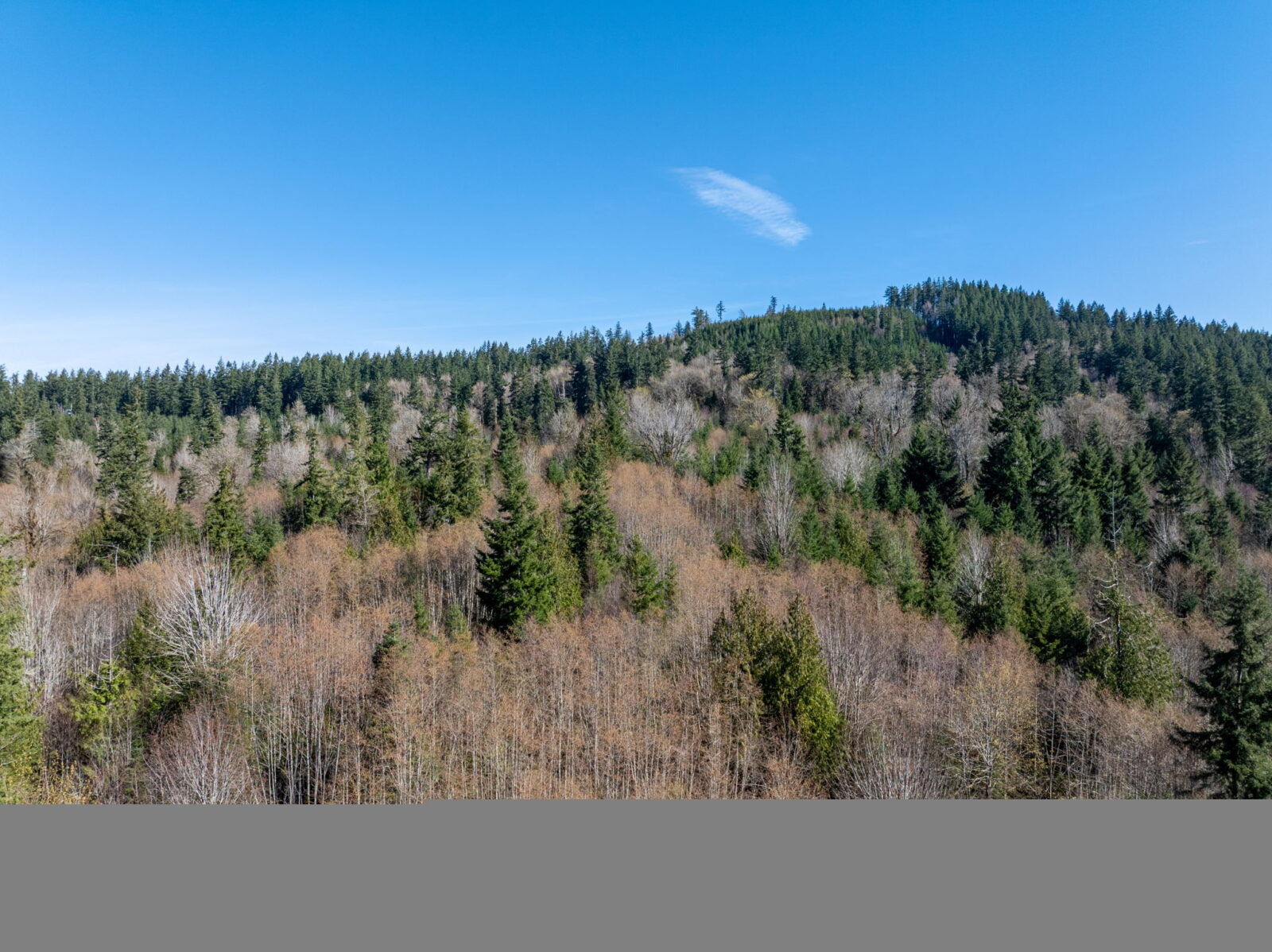 10643 Summit Lake Rd NW