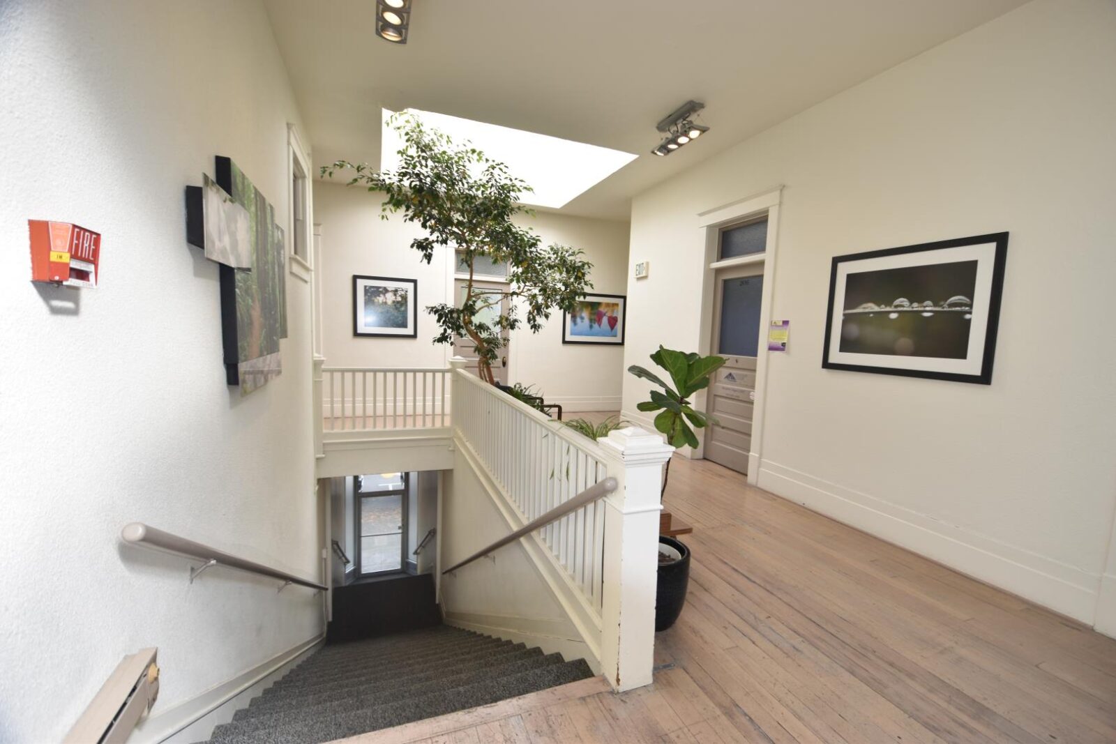 209 E 4th Avenue