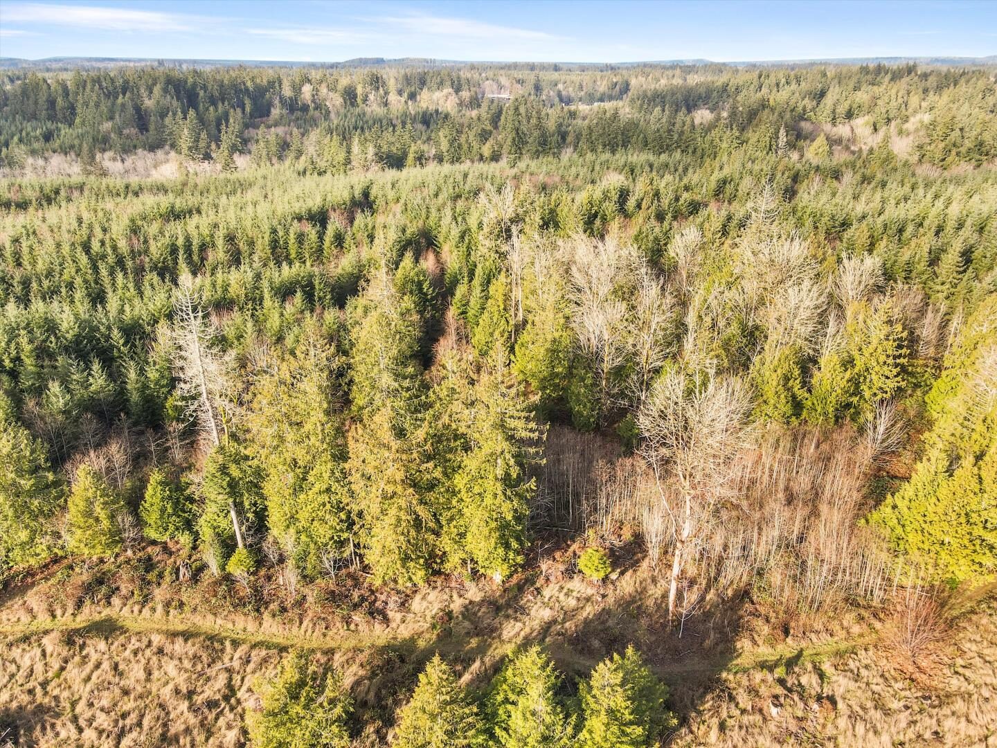 Gravelly Beach Lp NW