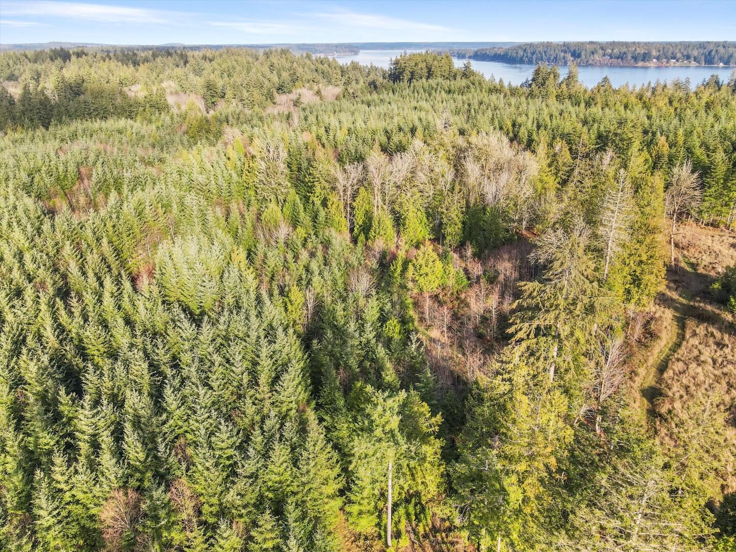 Gravelly Beach Lp NW