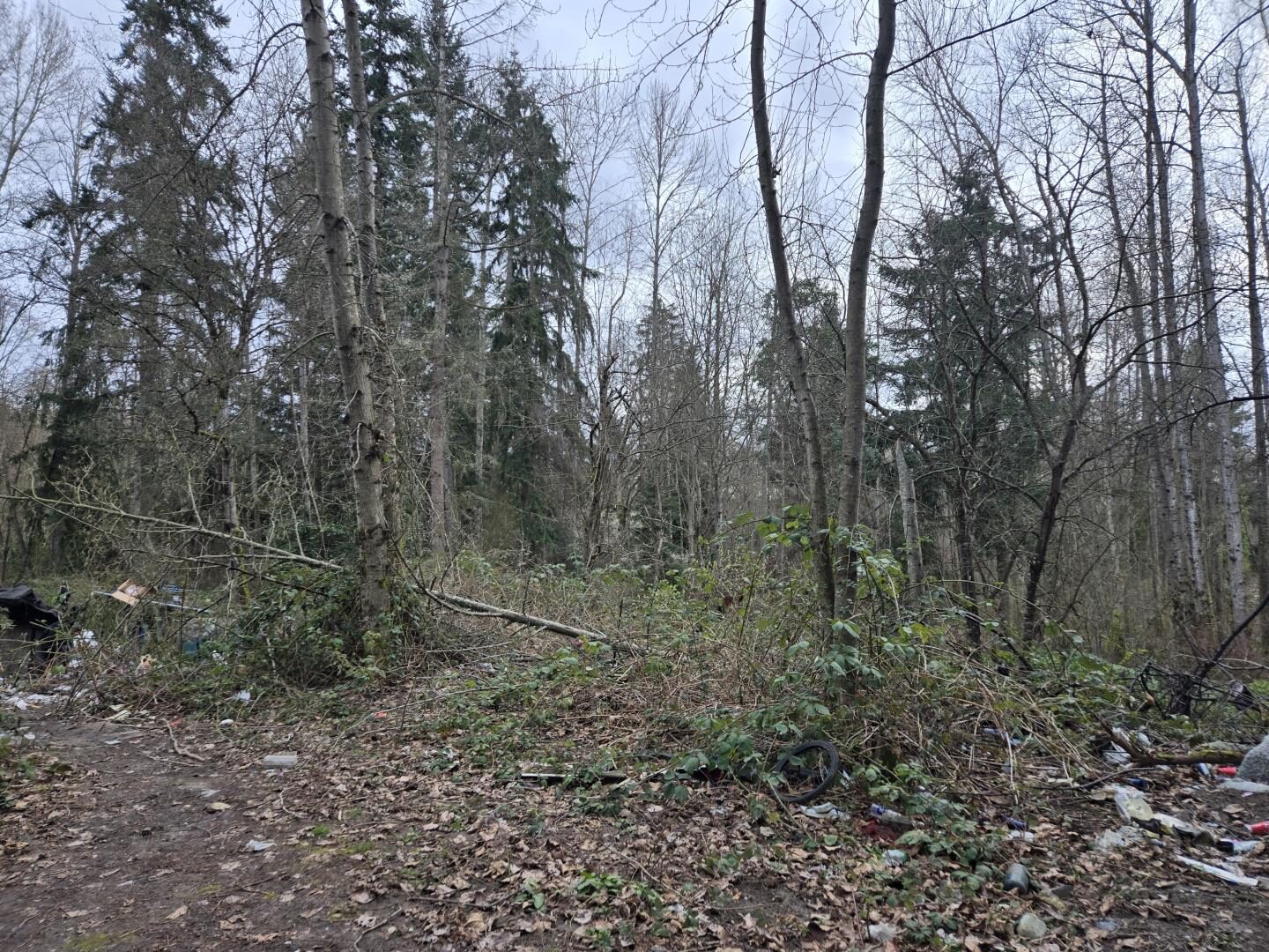 S 260th St