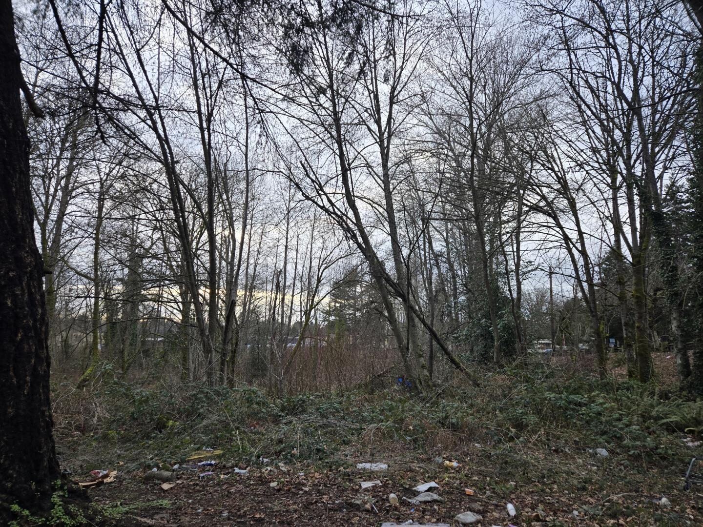 S 260th St