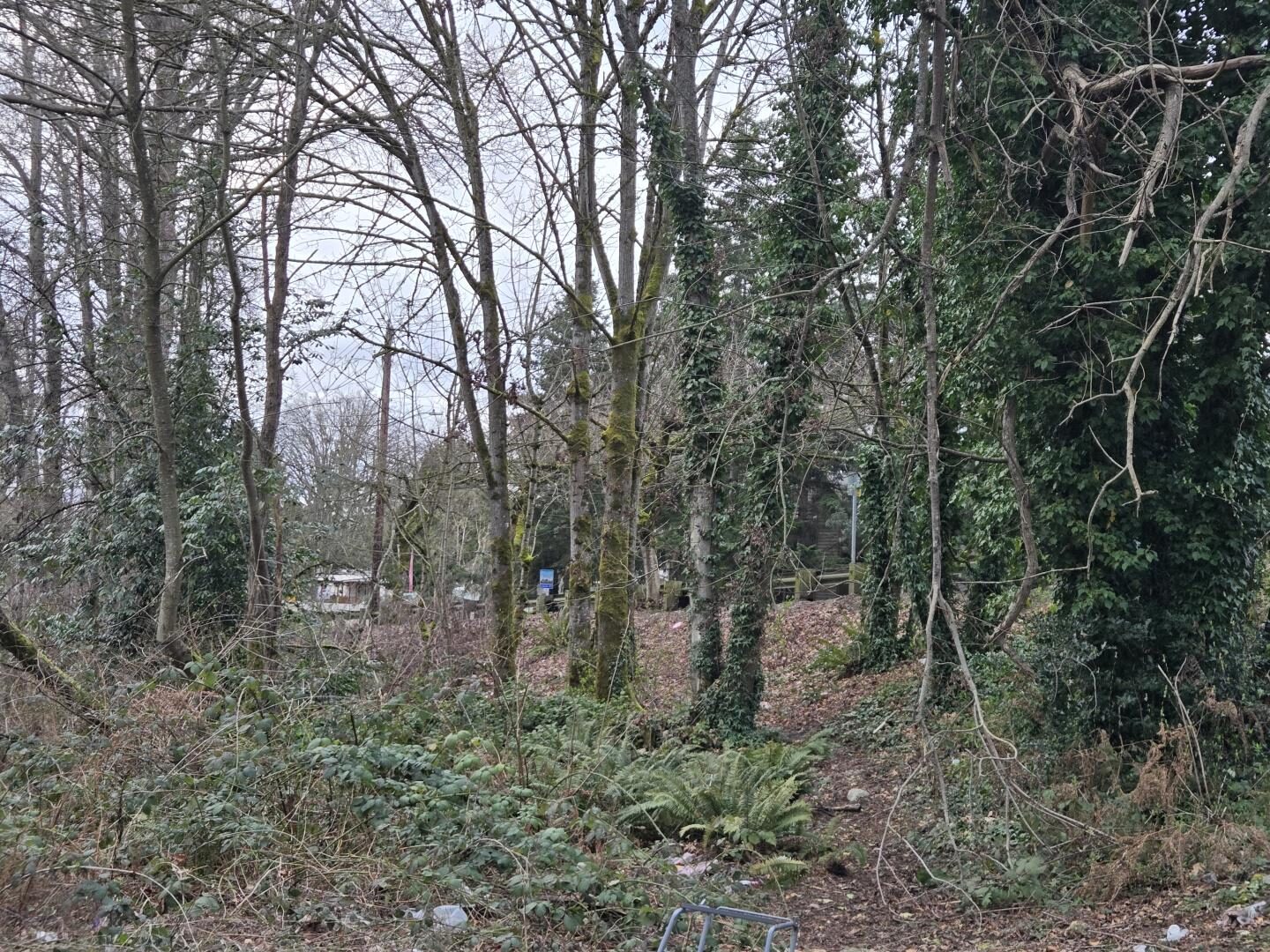 S 260th St