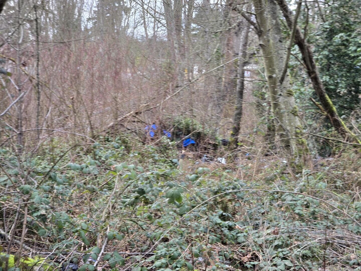 S 260th St