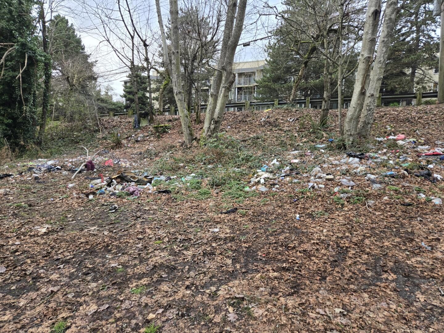 S 260th St