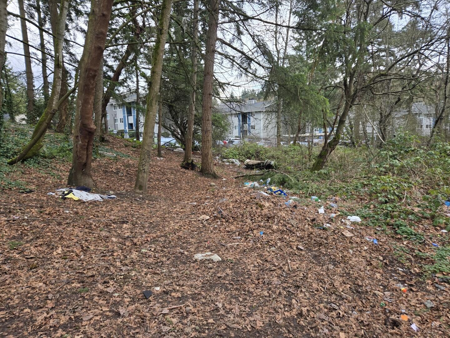 S 260th St