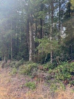 Old Sawmill Pl NW