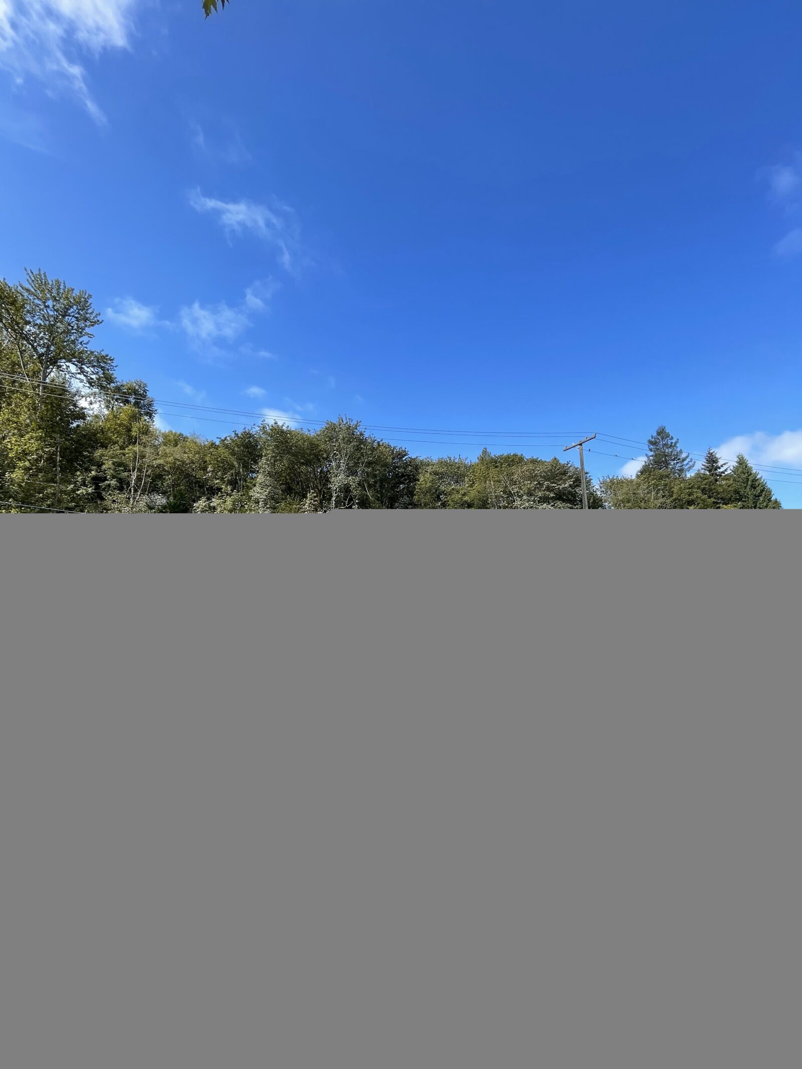 12455 International Blvd S